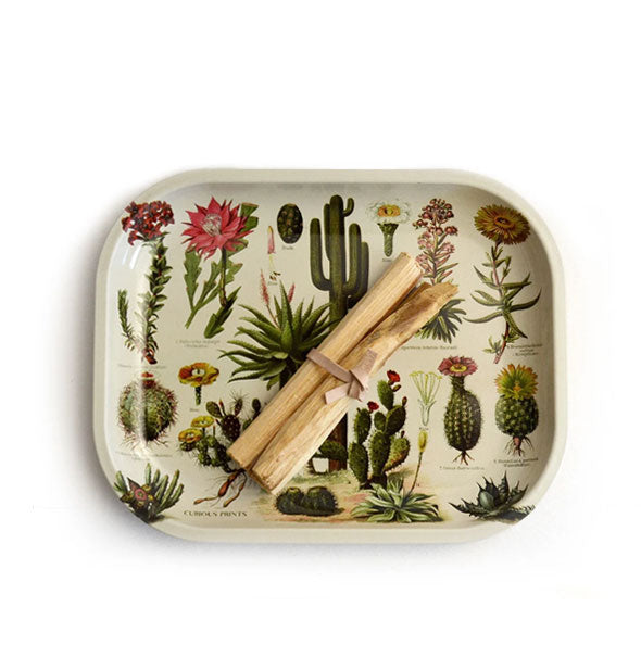 Rectangular tray with rounded corners features all-over vintage print illustrations of cacti