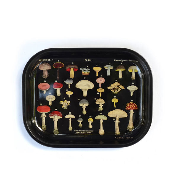 Black rectangular tray with rounded corners features a colorful vintage diagram illustration of various types of mushrooms