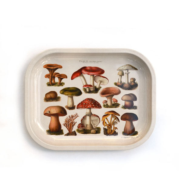 White rectangular tray with rounded corners features colorful illustrations of mushrooms