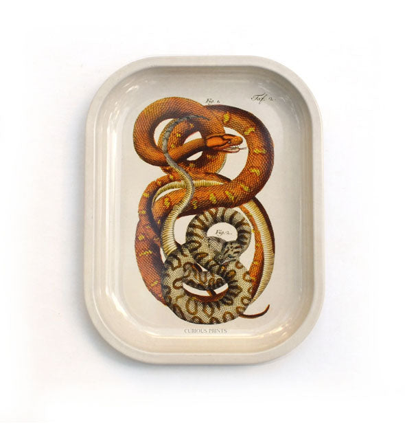Rectangular white tray with rounded corners features illustration of two partially coiled snakes