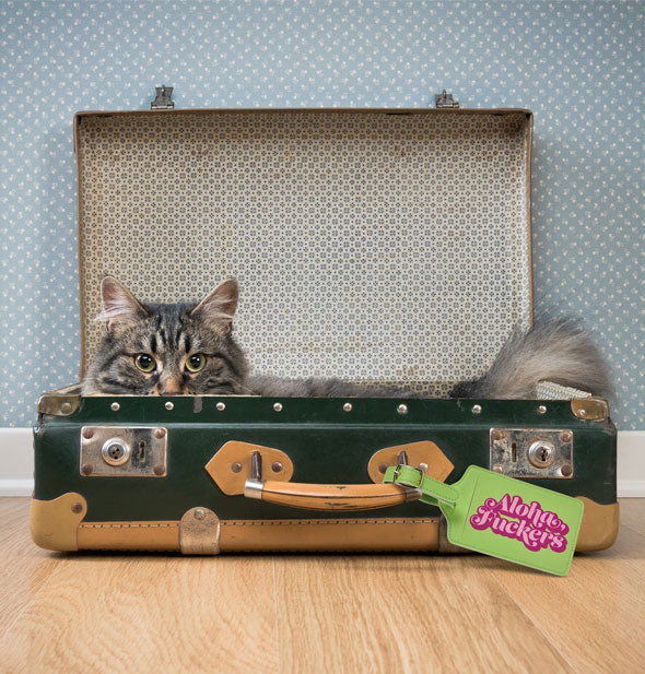 A fluffy cat peers out of an opened vintage suitcase with the Aloha, Fuckers luggage tag attached to its handle