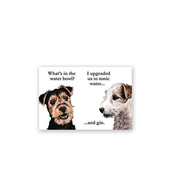 Rectangular white magnet with image two dogs, appearing to say to each other, "What's in the water bowl?" and "I upgraded us to tonic water...and gin."