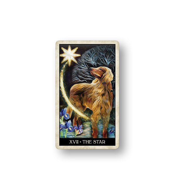 The Star card from the Wise Dog tarot Deck