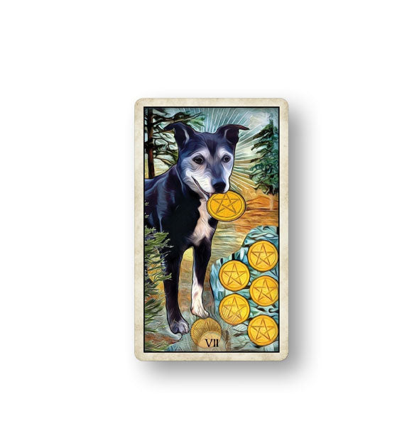 VII card from the Wise Dog tarot Deck with illustration of a black and white dog holding a pentacle in its mouth