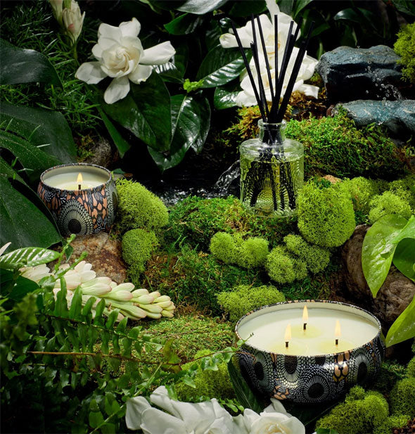 Decorative floral candle tins with embossed glass reed diffuser on a mossy, botanical backdrop