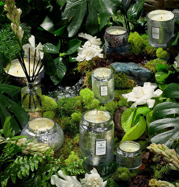 An assortment of reflective glass jar candles on a lush botanical backdrop