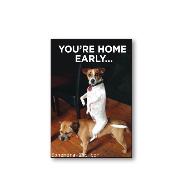 Rectangular magnet with image of one dog straddling another says, "You're home early..."